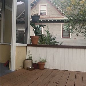 Meet your Posher, Thomas